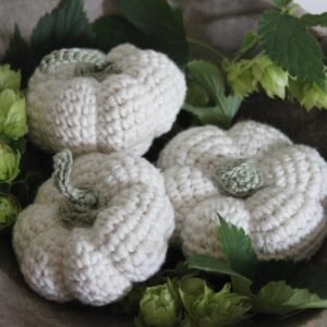 pumpkins, crochet, hook up, crochet pumpkin, old wooden shovel, autumn, hop, green, diy, crochet, crochet, crochet, crochet, crochet, diy